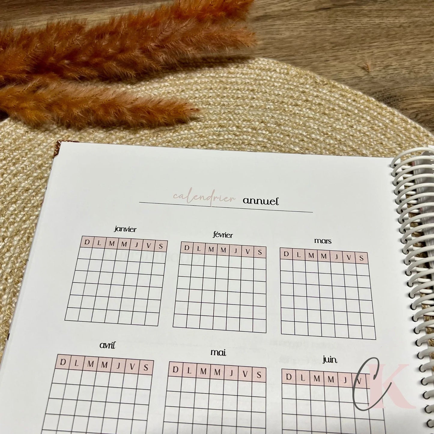 Agenda Planificateur Non Daté Grand Public | Couverture Rigide | 8.5x11