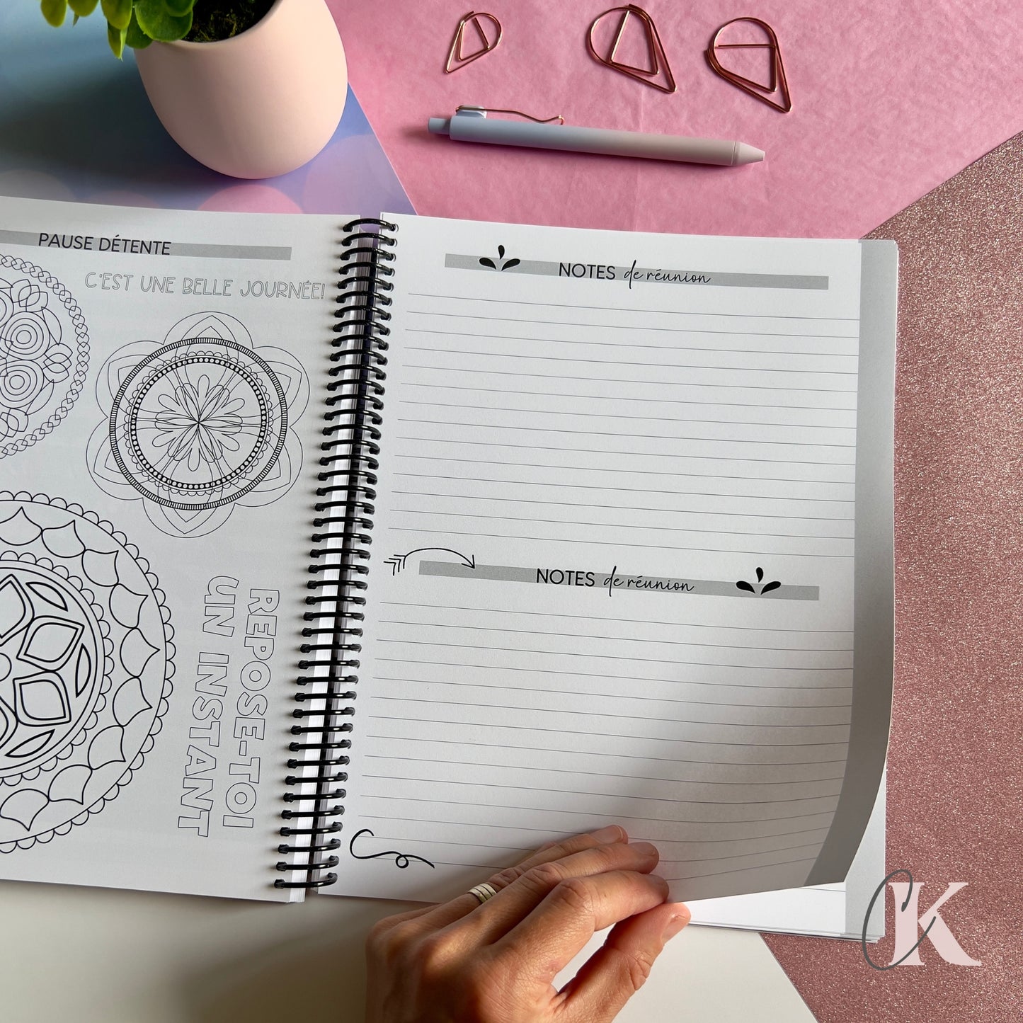 Agenda Planificateur Enseignant 2025-2026 | Floral Bohème Rose Poudré